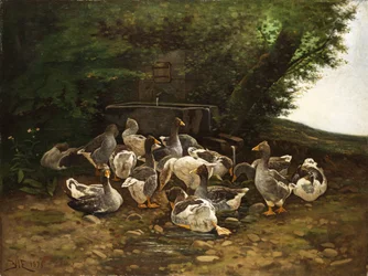 Graugänse am Steinbrunnen